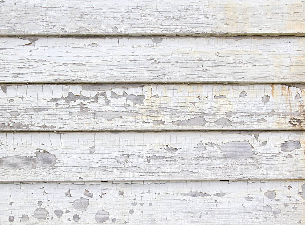 Best Construction Debris Removal  in Dorothy, NJ