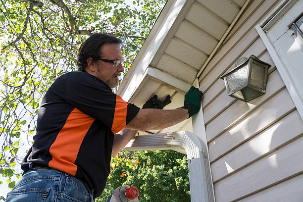 Best Demolition Debris Removal  in Dorothy, NJ
